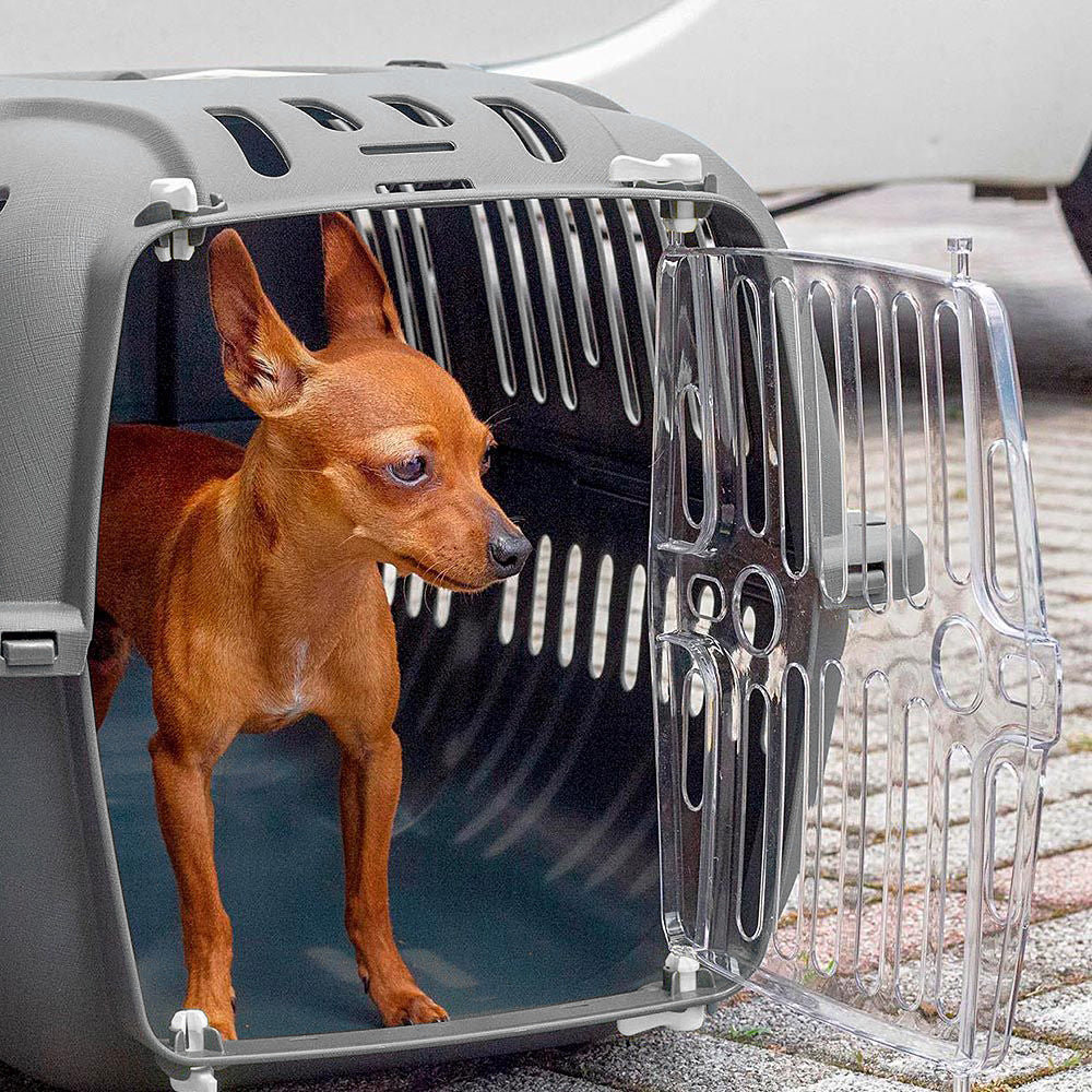 Chien marron dans une caisse de transport en plastique gris avec porte transparente, idéal pour voyages et sécurité animale. Accessoire pour animaux.