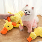 Chien blanc en pull rose joue avec jouet canard jaune en peluche. Jouet pour chien, peluche canard, accessoires animaux, jouet interactif.