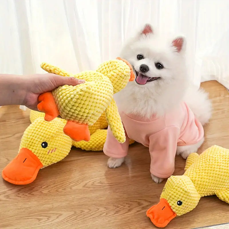 Chien blanc en pull rose joue avec jouet canard jaune en peluche. Jouet pour chien, peluche canard, accessoires animaux, jouet interactif.