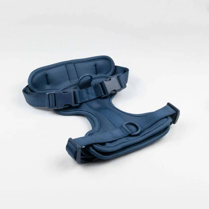 Harnais de posture bleu marine ergonomique, ajustable, soutien dorsal, améliore la posture, soulage les douleurs, accessoire santé bien-être.