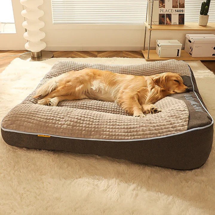 Chien golden retriever dormant sur un grand coussin orthopédique gris et beige dans un salon ensoleillé, confort animal, lit pour chien.