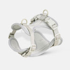 Harnais pour chien gris clair, ajustable et rembourré, avec boucles de sécurité et anneaux en métal. Accessoire pour promenade canine confortable.