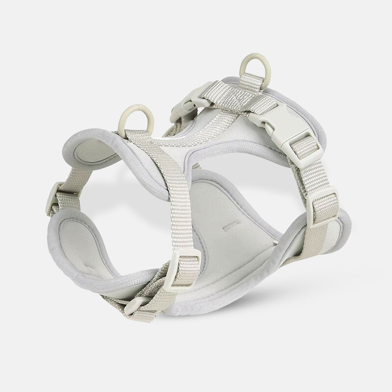 Harnais pour chien gris clair, ajustable et rembourré, avec boucles de sécurité et anneaux en métal. Accessoire pour promenade canine confortable.