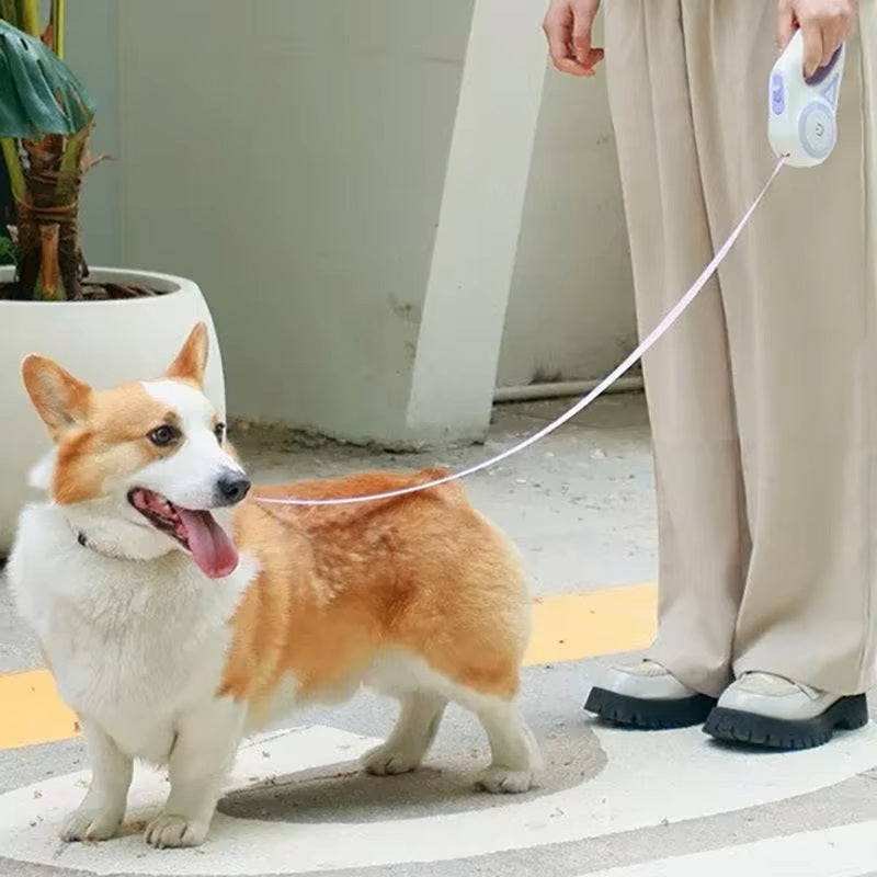 Chien Corgi en laisse rétractable, promenade en extérieur, plante en pot, personne en pantalon beige, scène urbaine.