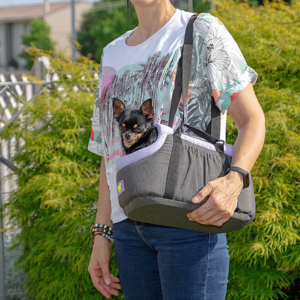Femme portant un Chihuahua dans un sac de transport pour animaux, en extérieur. Sac gris, design ergonomique. Accessoire pratique pour petits chiens.