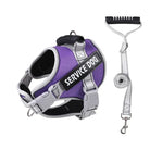 Harnais violet pour chien d'assistance avec laisse assortie, boucle réglable et poignée ergonomique. Accessoire pour chien de service.