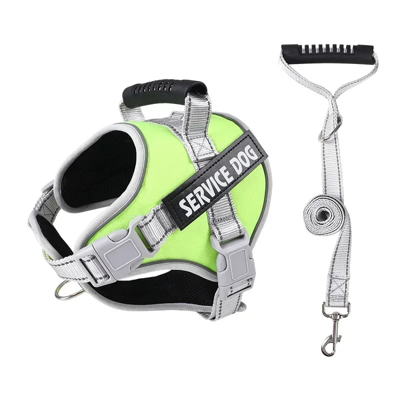 Harnais pour chien d'assistance vert avec poignée robuste et laisse assortie. Accessoire pour chien, sécurité, confort, dressage.