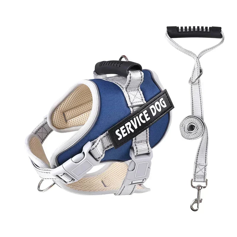 Harnais bleu pour chien d'assistance avec laisse assortie, étiquette "Service Dog", ajustable et confortable, idéal pour chiens de travail.