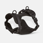 Harnais pour chien noir, réglable et robuste, avec boucles de sécurité et anneaux en métal. Accessoire idéal pour promenade et dressage canin.