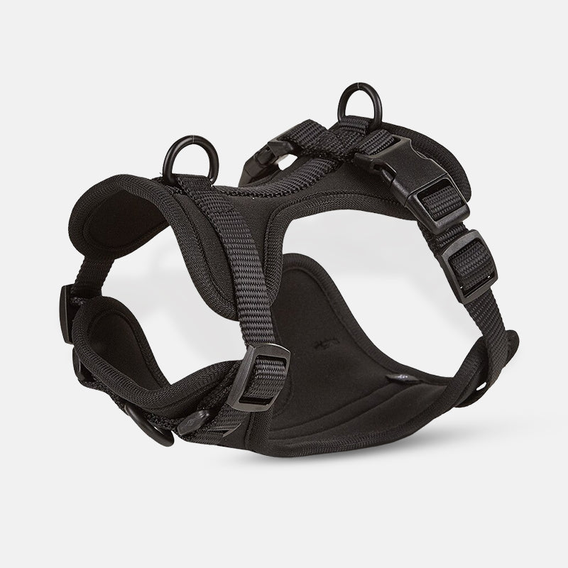 Harnais pour chien noir, réglable et robuste, avec boucles de sécurité et anneaux en métal. Accessoire idéal pour promenade et dressage canin.