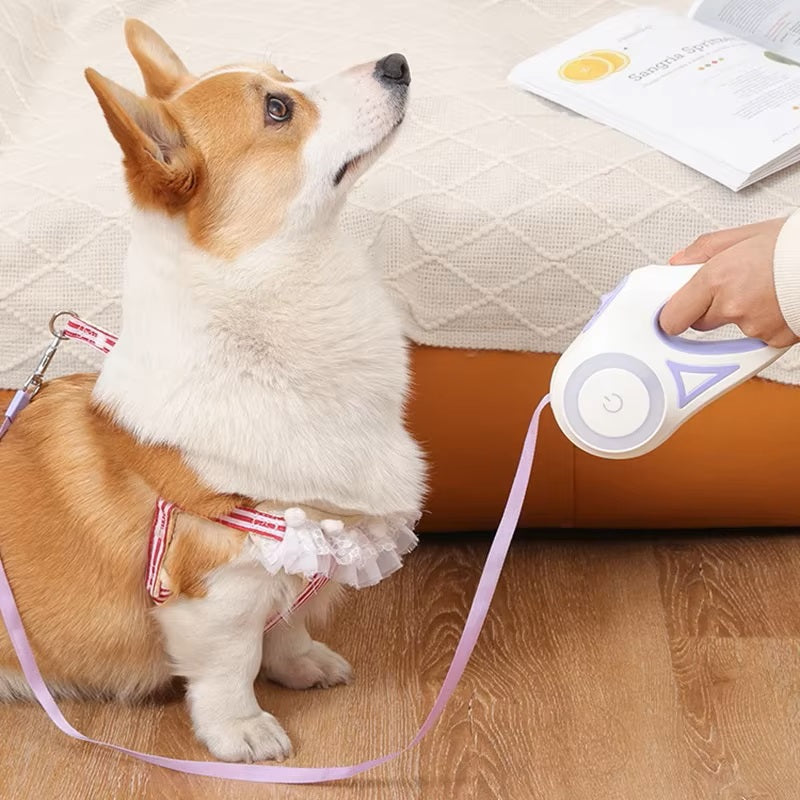 Chien Corgi assis avec harnais rose, regardant un distributeur de friandises blanc. Accessoires pour animaux, dressage, mignon, intérieur.
