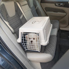 Chien blanc dans une caisse de transport sur le siège arrière d'une voiture. Transporteur pour animaux, sécurité en voiture, voyage avec chien.