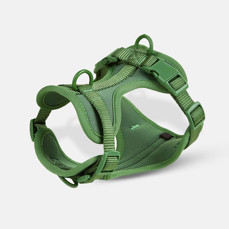 Harnais pour chien vert, réglable et confortable, avec boucles robustes et anneaux en métal. Accessoire idéal pour promenade et sécurité canine.