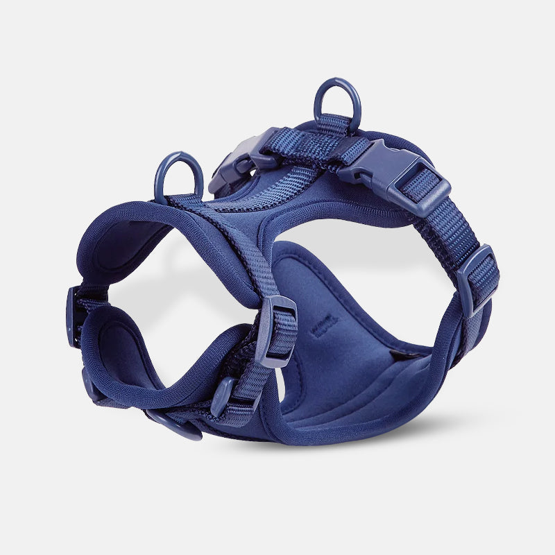 Harnais pour chien bleu marine, réglable et rembourré, avec boucles de sécurité et anneaux en métal. Accessoire pour promenade canine confortable.