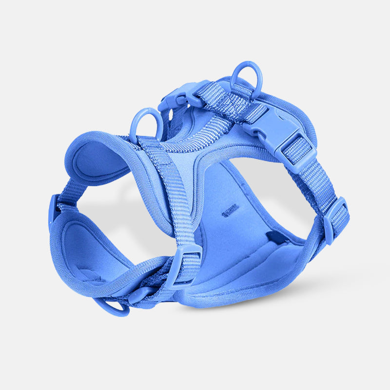 Harnais pour chien bleu, réglable et confortable, idéal pour promenades et entraînements. Accessoire pour animaux de compagnie, sécurité optimale.
