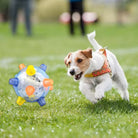 Chien Jack Russell jouant avec une balle interactive colorée sur l'herbe. Jouet pour chien, activité extérieure, animal de compagnie actif.