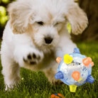 Chiot blanc jouant avec une balle interactive colorée sur l'herbe verte. Jouet pour chien, activité extérieure, animal de compagnie heureux.