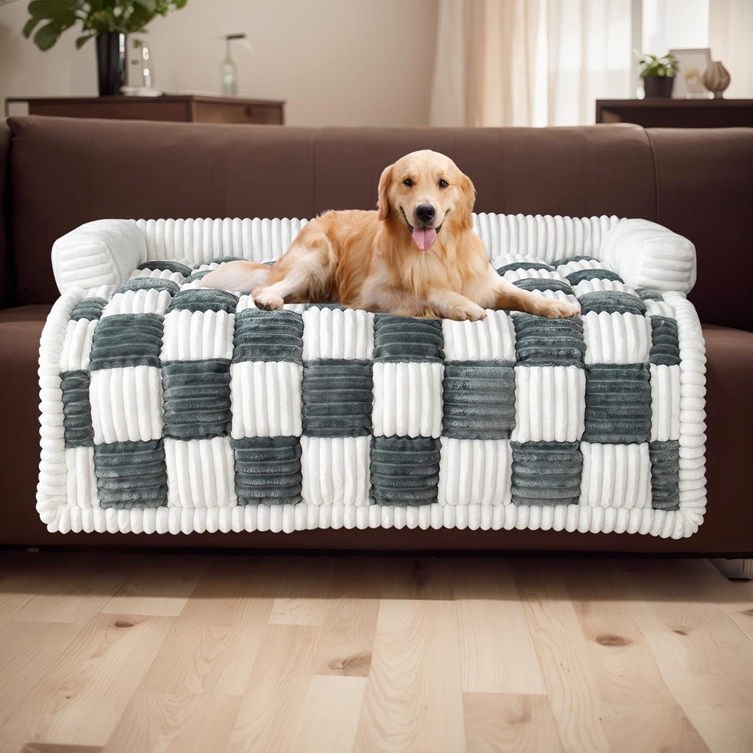 Chien golden retriever allongé sur un canapé recouvert d'une couverture à carreaux gris et blancs, salon moderne, décoration intérieure élégante.