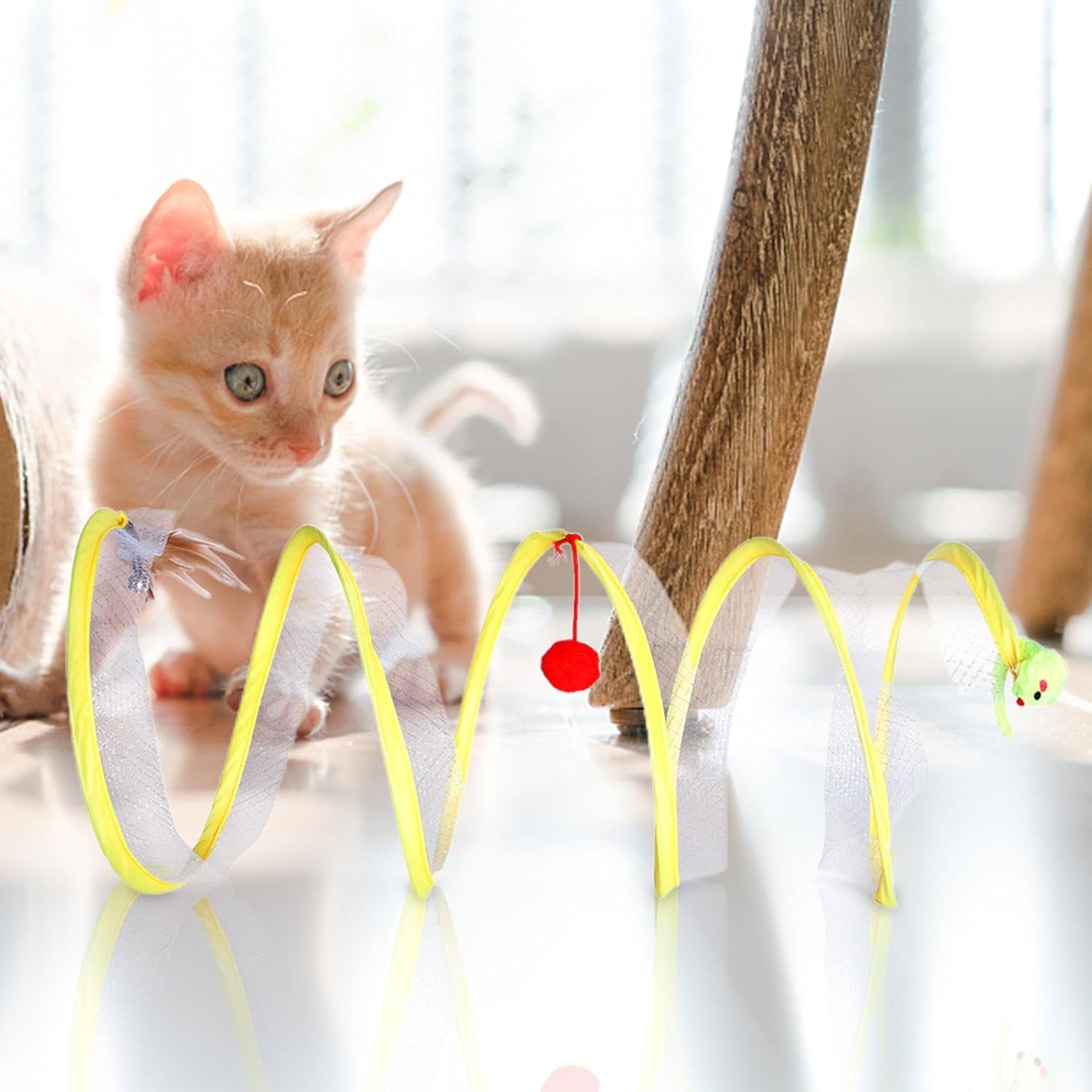 Chaton roux jouant avec un jouet interactif en spirale jaune, doté de pompons rouges et verts, sur un sol ensoleillé. Jouet pour chat, divertissement félin.
