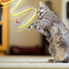 Chat tigré jouant avec un jouet interactif en plumes dans un salon. Jouet pour chat, divertissement félin, activité intérieure.