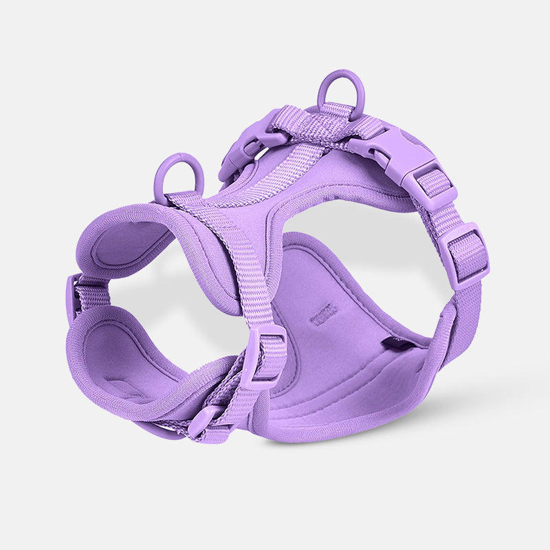 Harnais pour chien violet, ajustable et rembourré, idéal pour promenade et confort. Accessoire pour animaux de compagnie tendance et sécurisé.