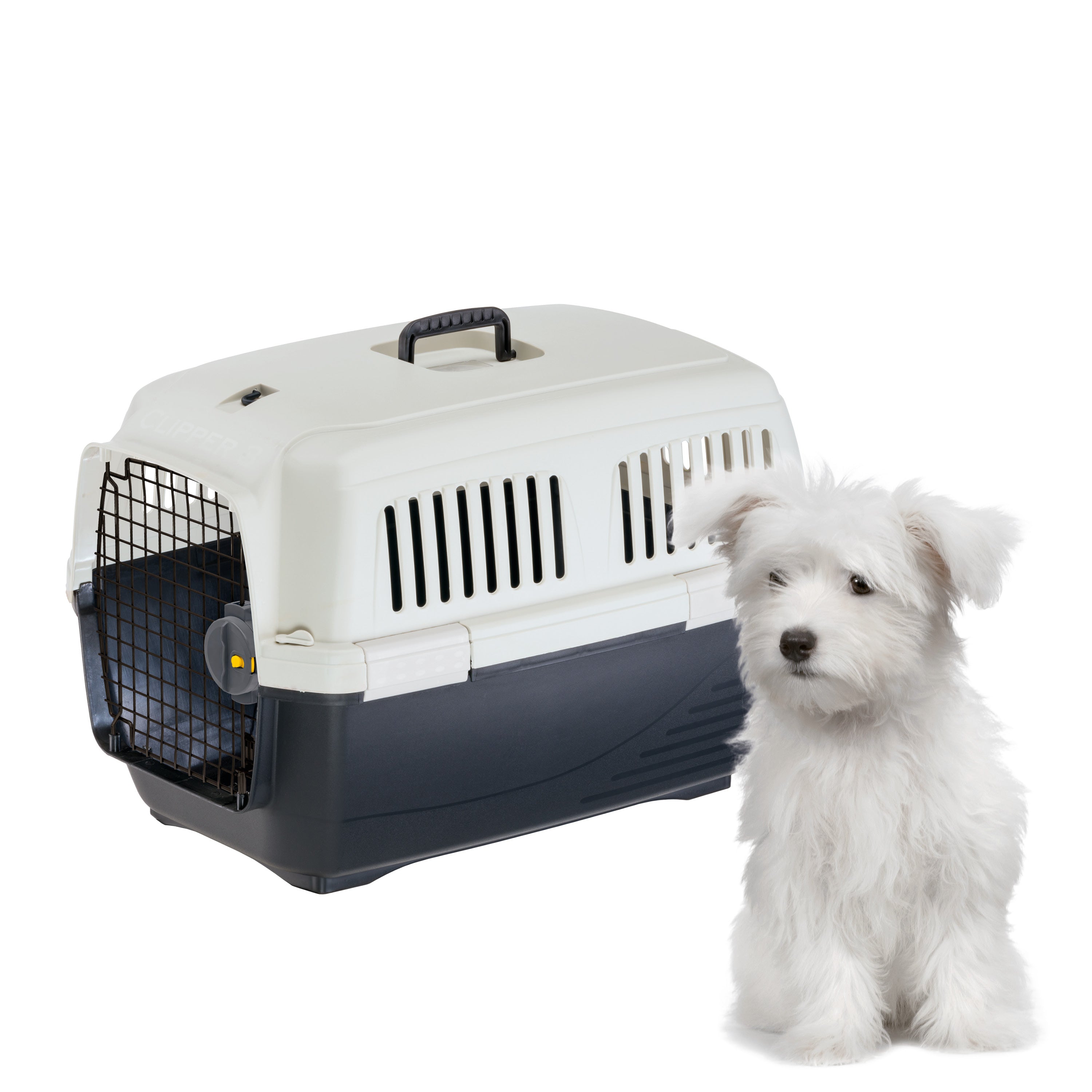 Chien blanc assis à côté d'une caisse de transport pour animaux, idéale pour voyages sécurisés. Accessoire essentiel pour propriétaires d'animaux.
