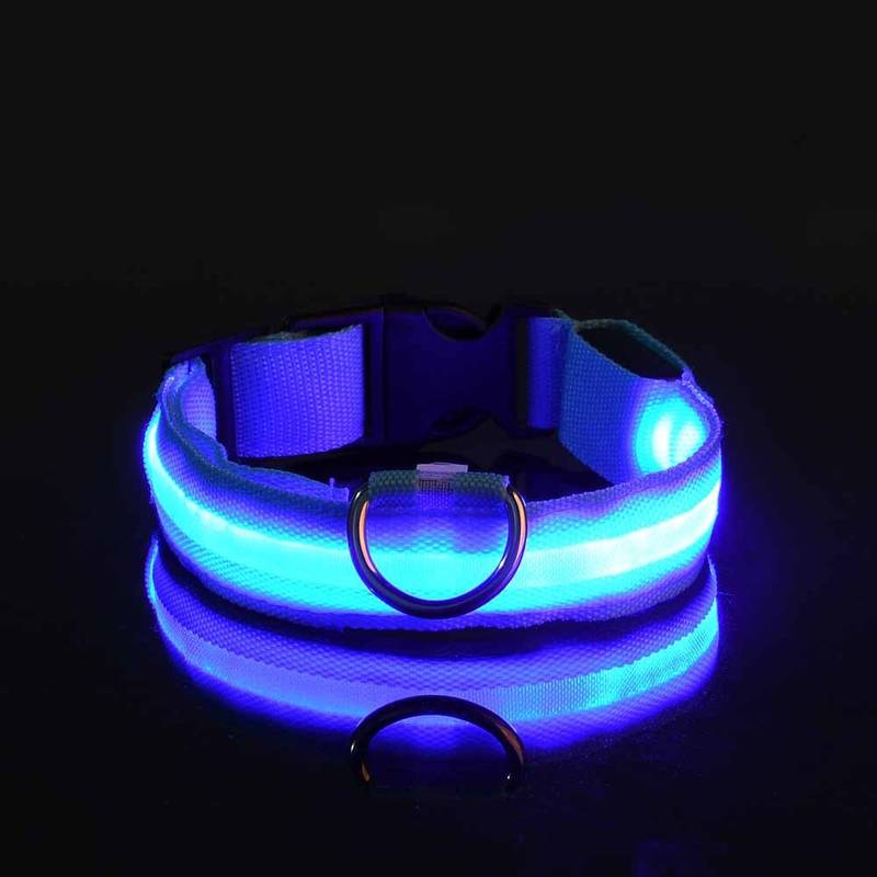 Collier pour chien LED bleu lumineux, sécurité nocturne, ajustable, visibilité élevée, accessoire pour animaux, promenade nocturne, design moderne.