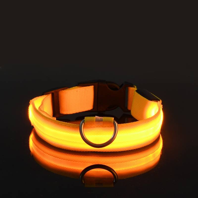 Collier pour chien LED jaune lumineux, sécurité nocturne, ajustable, boucle robuste, visibilité élevée, accessoire pour animaux de compagnie.