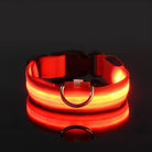 Collier pour chien LED rouge lumineux, sécurité nocturne, ajustable, boucle robuste, visibilité élevée, accessoire pour animaux de compagnie.