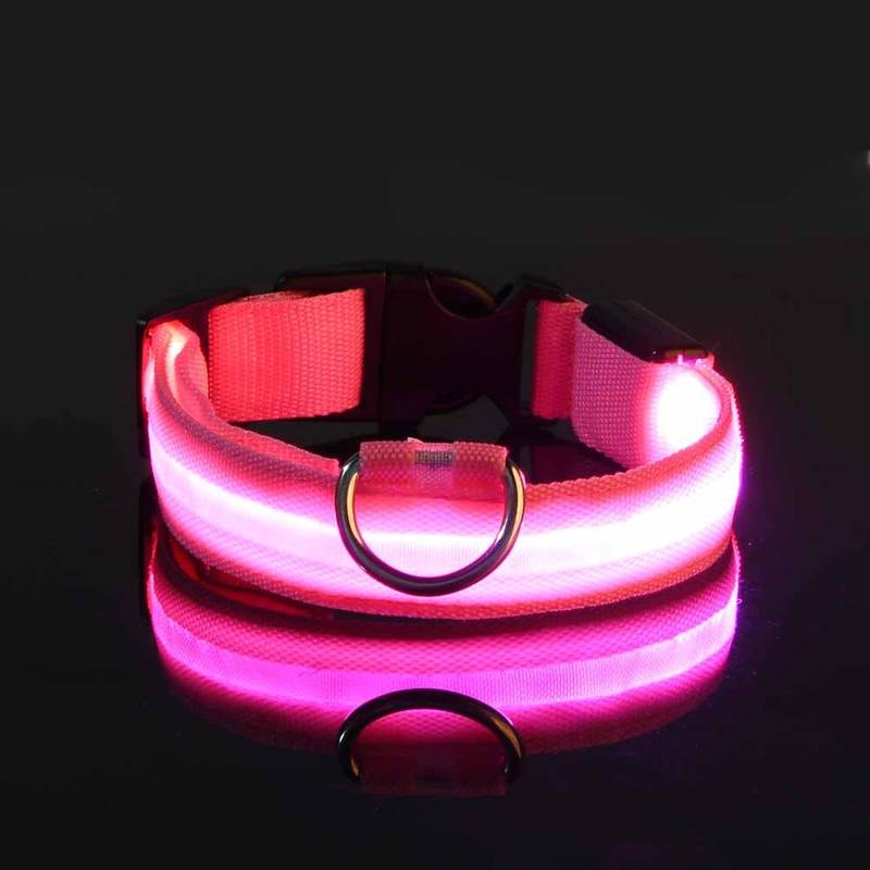 Collier pour chien LED rose, lumineux et réglable, idéal pour la sécurité nocturne. Accessoire pour animaux, visibilité accrue, promenade sécurisée.