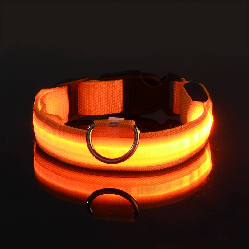 Collier pour chien LED orange lumineux, sécurité nocturne, ajustable, boucle robuste, visibilité élevée, accessoire pour animaux de compagnie.