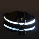 Collier pour chien LED lumineux, noir et blanc, réfléchissant, idéal pour la sécurité nocturne. Accessoire pour animaux de compagnie.