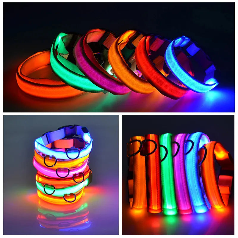 Colliers LED pour chiens, lumineux et colorés, parfaits pour la sécurité nocturne. Accessoire tendance et pratique pour animaux de compagnie.