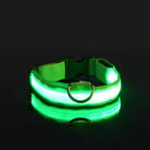 Collier pour chien LED vert lumineux, sécurité nocturne, ajustable, boucle robuste, visibilité élevée, accessoire pour animaux de compagnie.