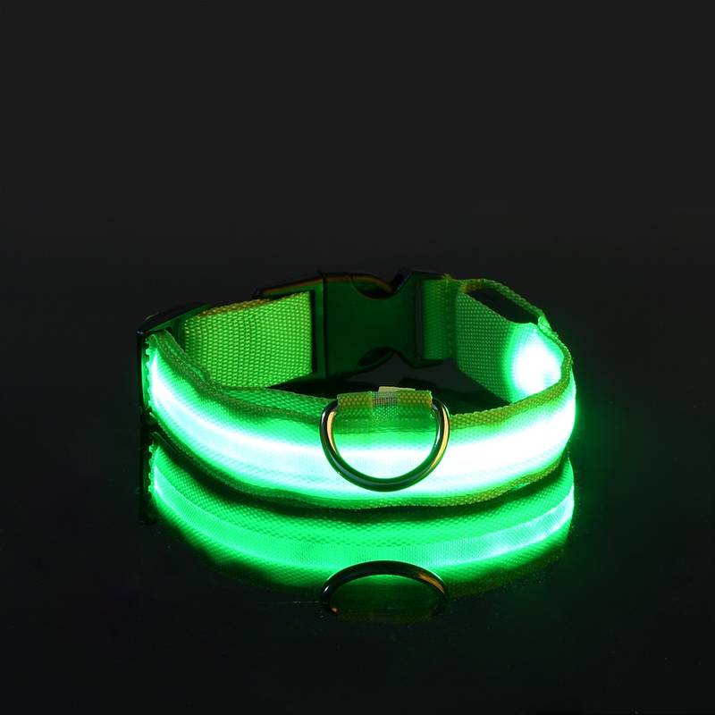 Collier pour chien LED vert lumineux, sécurité nocturne, ajustable, boucle robuste, visibilité élevée, accessoire pour animaux de compagnie.