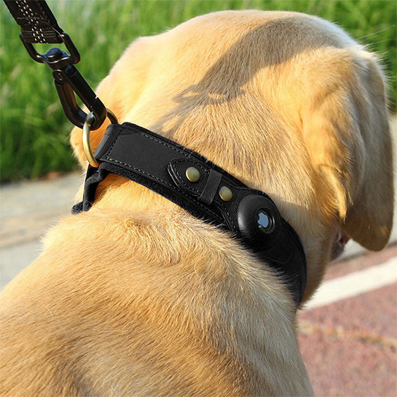 Collier pour chien avec support AirTag, en cuir noir, sur un Labrador beige en extérieur. Accessoire de suivi GPS pour animaux de compagnie.