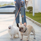 Deux chiens en laisse double, un bouledogue français et un spitz, marchant sur un trottoir. Accessoire pratique pour promener deux chiens.