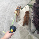 Deux chiens en laisse double, un marron et un beige, marchant sur un trottoir. Main tenant la poignée de la laisse. Promenade canine.