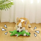 Chien Corgi jouant avec un jouet interactif vert en forme de crocodile sur un sol en bois, plante en arrière-plan. Jouet pour chien, divertissement.