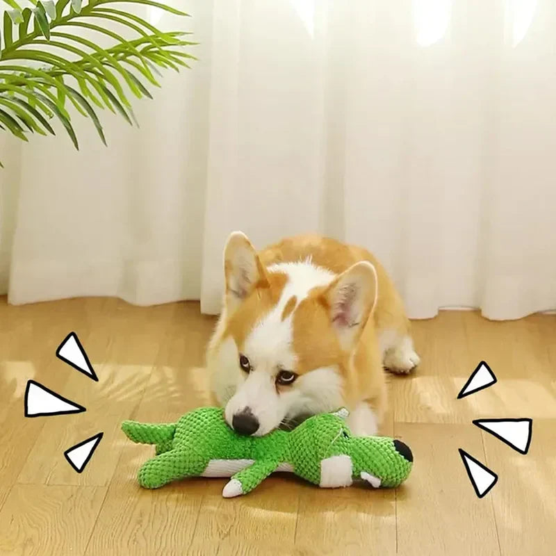 Chien Corgi jouant avec un jouet interactif vert en forme de crocodile sur un sol en bois, plante en arrière-plan. Jouet pour chien, divertissement.