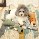 Chien blanc avec jouets interactifs en peluche, lion, éléphant et crocodile, sur tapis coloré. Jouets pour chien, divertissement, accessoires animaux.
