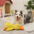 Chien heureux avec jouet en peluche canard jaune, résistant aux morsures, idéal pour solitude et vocalisation. Accessoire parfait pour Golden Retriever, Corgi.
