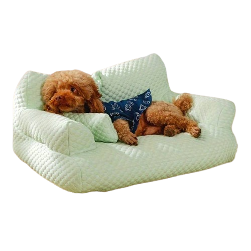 Chien allongé sur un canapé vert clair, portant un bandana bleu. Lit pour animaux de compagnie, confort, design moderne.