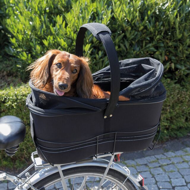 Chien teckel dans un panier de vélo noir, transport pour animaux, promenade en plein air, accessoire vélo, sécurité canine, confort voyage.
