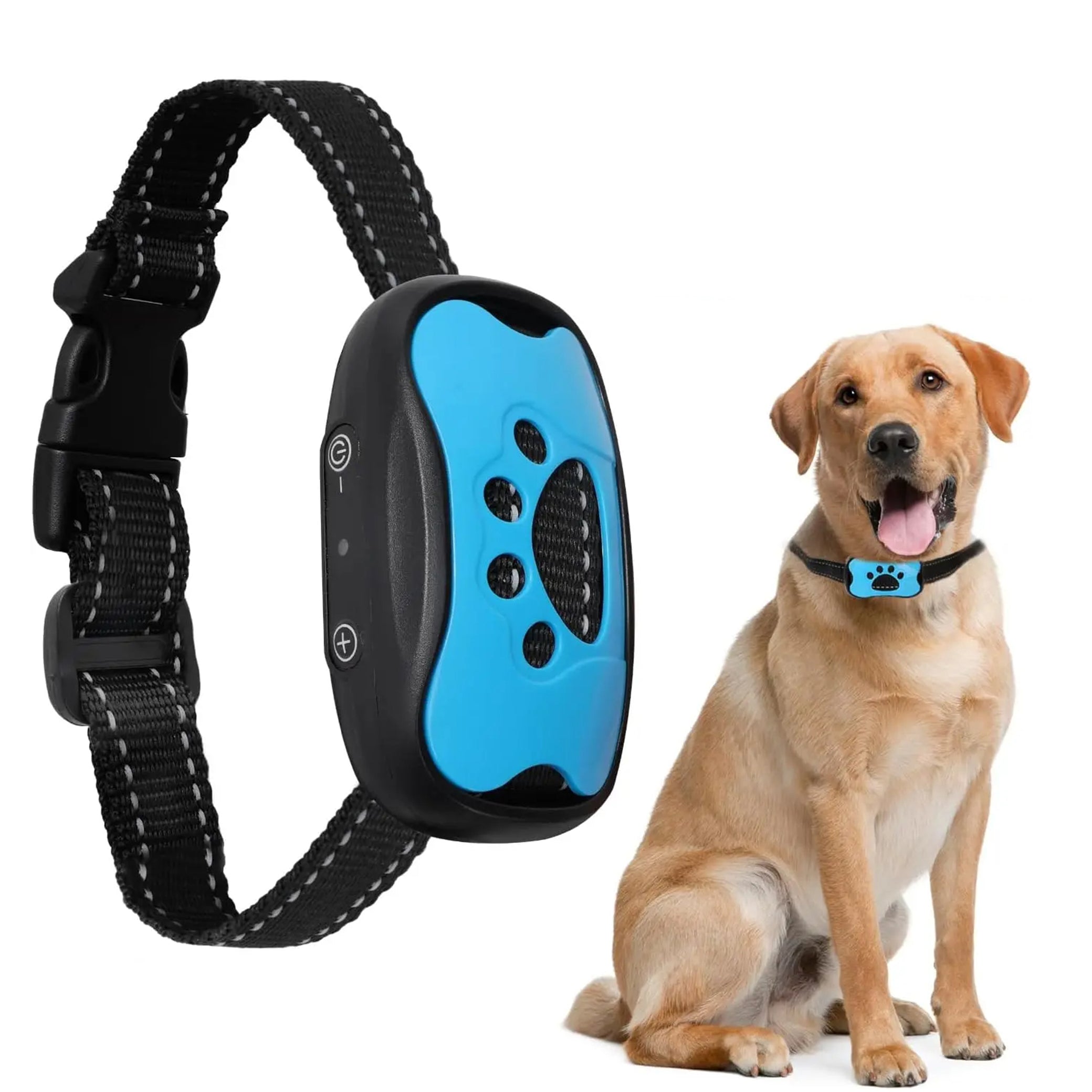 Collier anti-aboiement pour chien Zeus, bleu et noir, réglable, avec télécommande, pour dressage canin efficace et sans douleur.