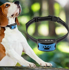 Chien beagle portant un collier anti-aboiement bleu et noir, technologie moderne, dressage canin, extérieur, forêt en arrière-plan.