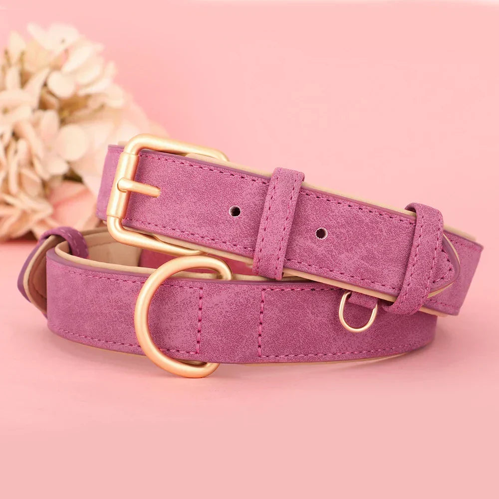 Collier pour chien en cuir rose avec boucle dorée, design élégant, accessoire pour animaux de compagnie, fond rose, fleurs décoratives.