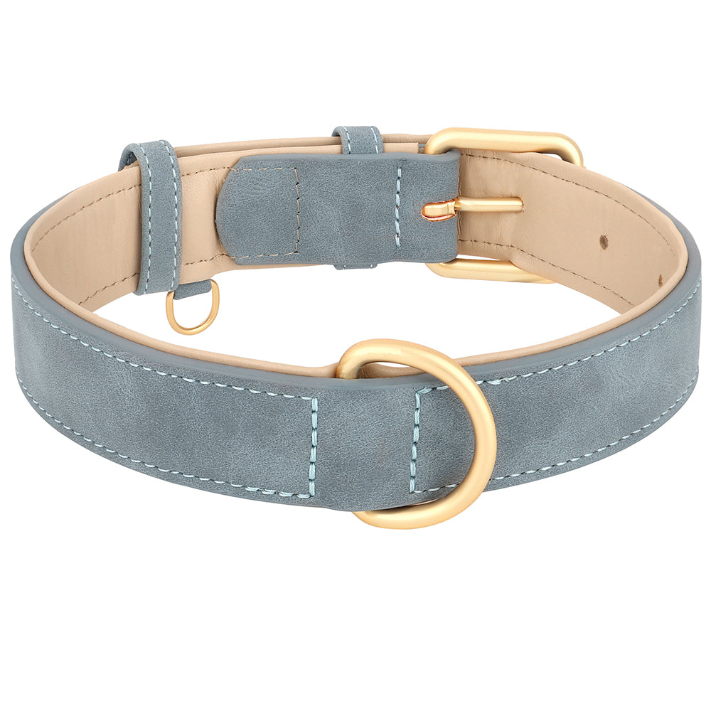 Collier pour chien en cuir bleu avec boucle dorée, design élégant et robuste, accessoire pour animaux de compagnie, mode canine, haute qualité.