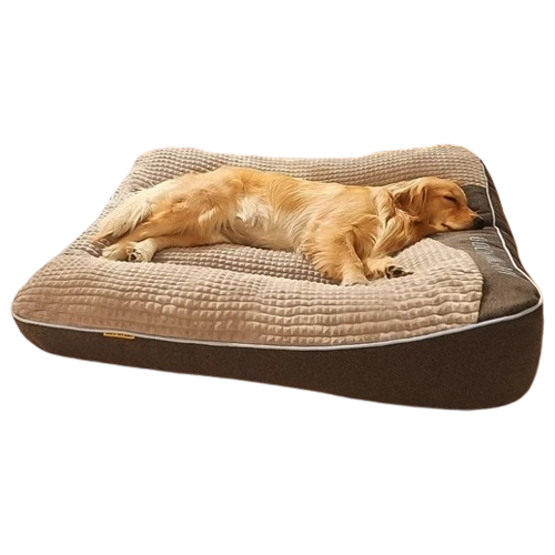 Chien doré dormant sur un grand coussin orthopédique marron et beige pour animaux, confort et soutien, lit pour chien de luxe, accessoires pour animaux.