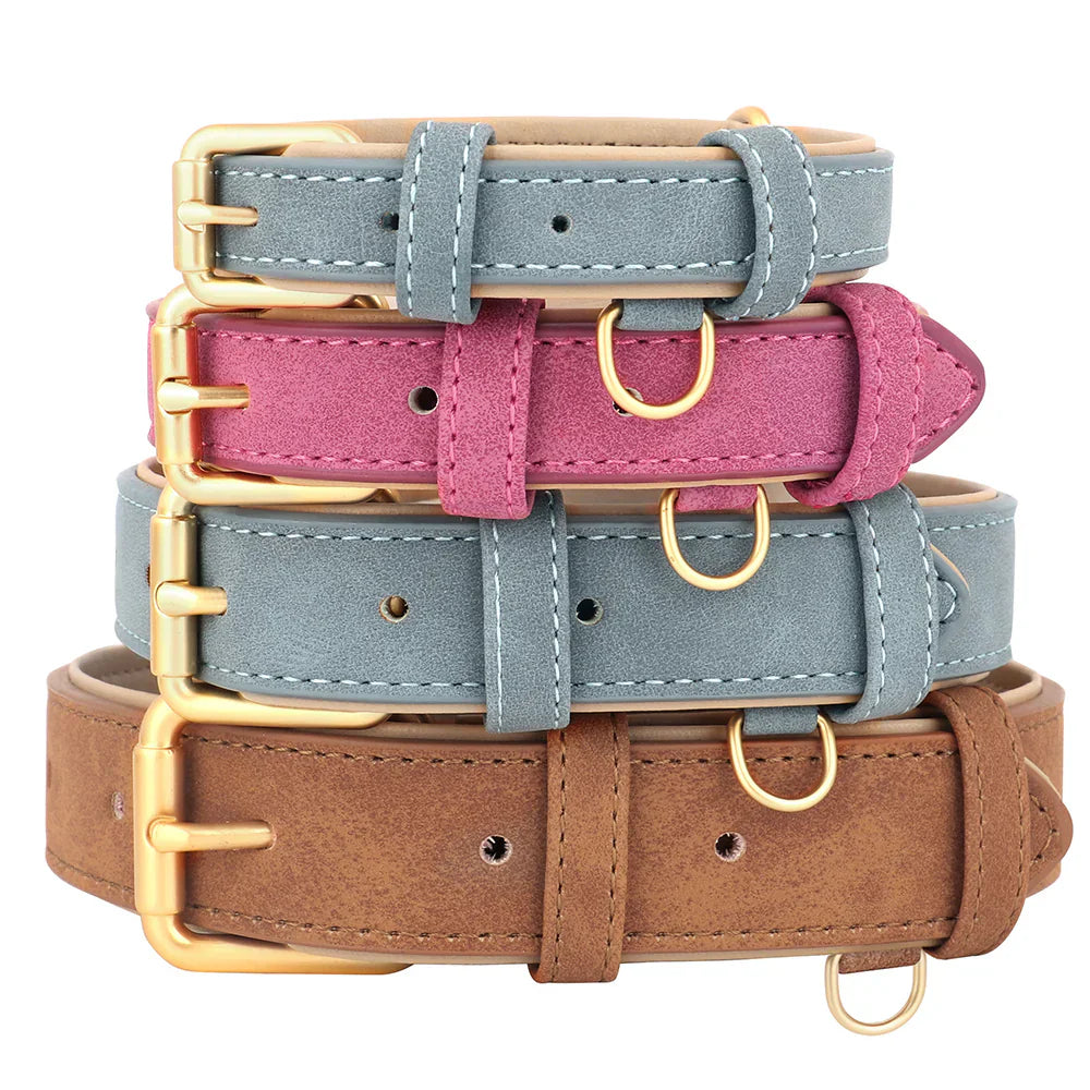 Quatre colliers pour chien en cuir, couleurs bleu, rose et marron, avec boucles dorées. Accessoires élégants pour animaux de compagnie.